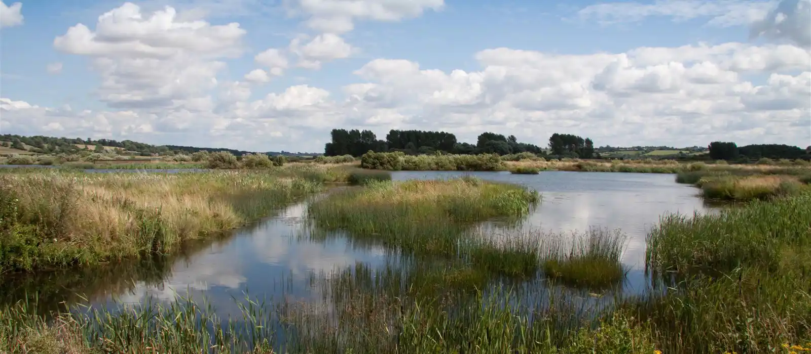 Rutland Water