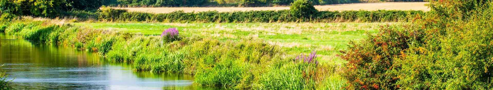 Campsites in West Sussex