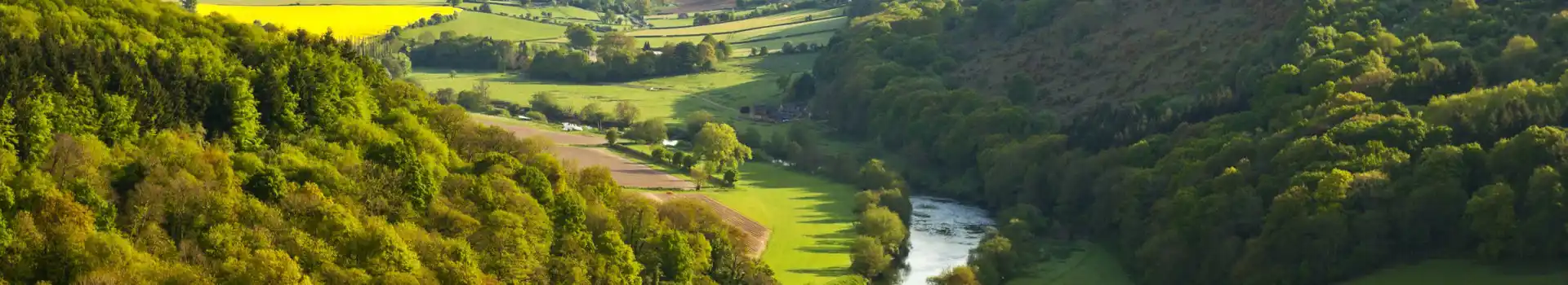 Campsites in the Forest of Dean and Wye Valley