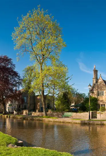 Campsites in the Cotswolds