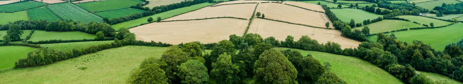 county tyrone