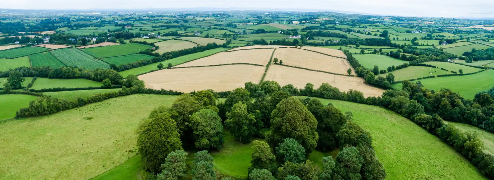 county tyrone