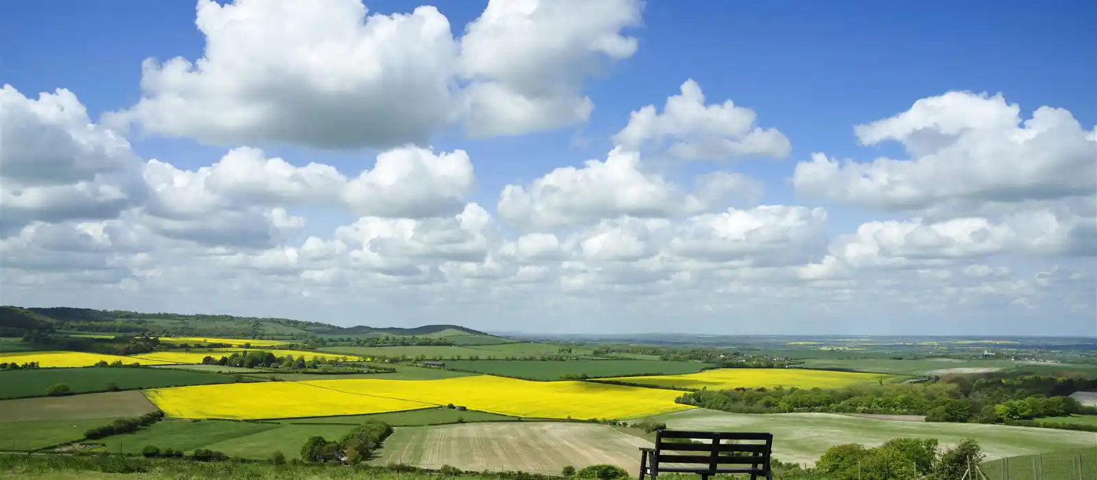 Dunstable Downs