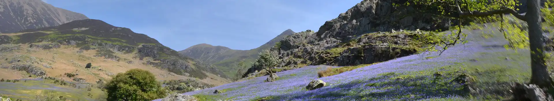 Cockermouth campsites