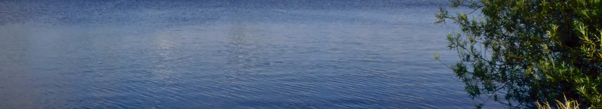 South Cerney campsites