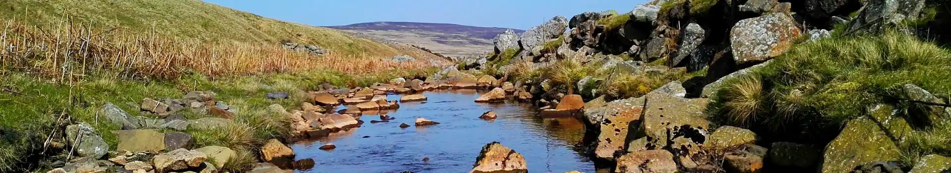 Bollihope Burn, Weardale near Stanhope