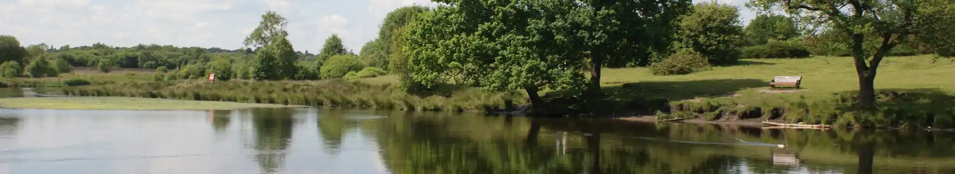 Sutton Coldfield campsites