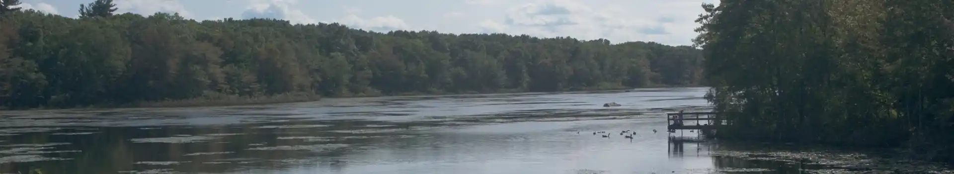 Braintree campsites