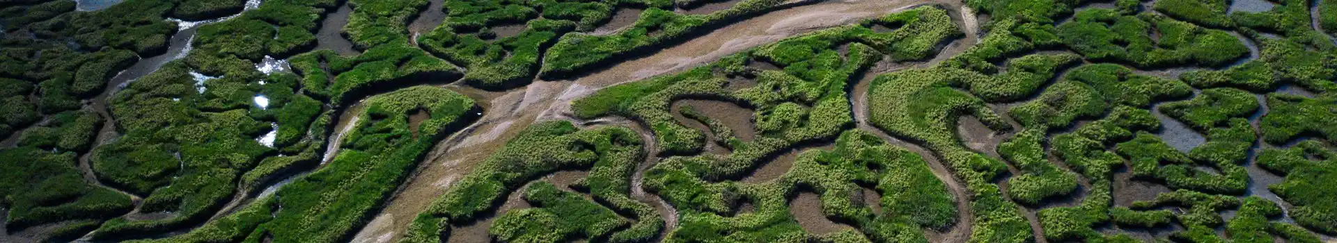 Stiffkey campsites