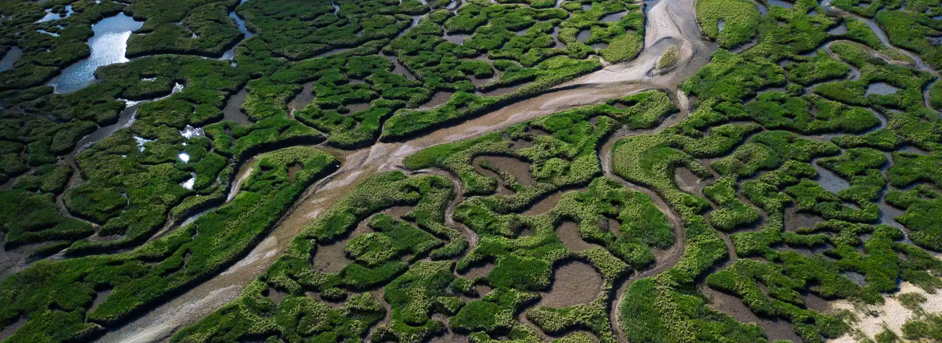 Stiffkey campsites