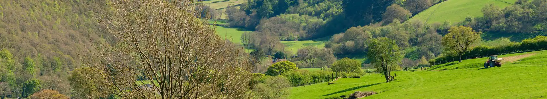 Bishop's Castle campsites