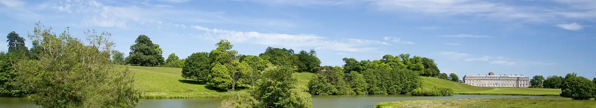 Petworth campsites