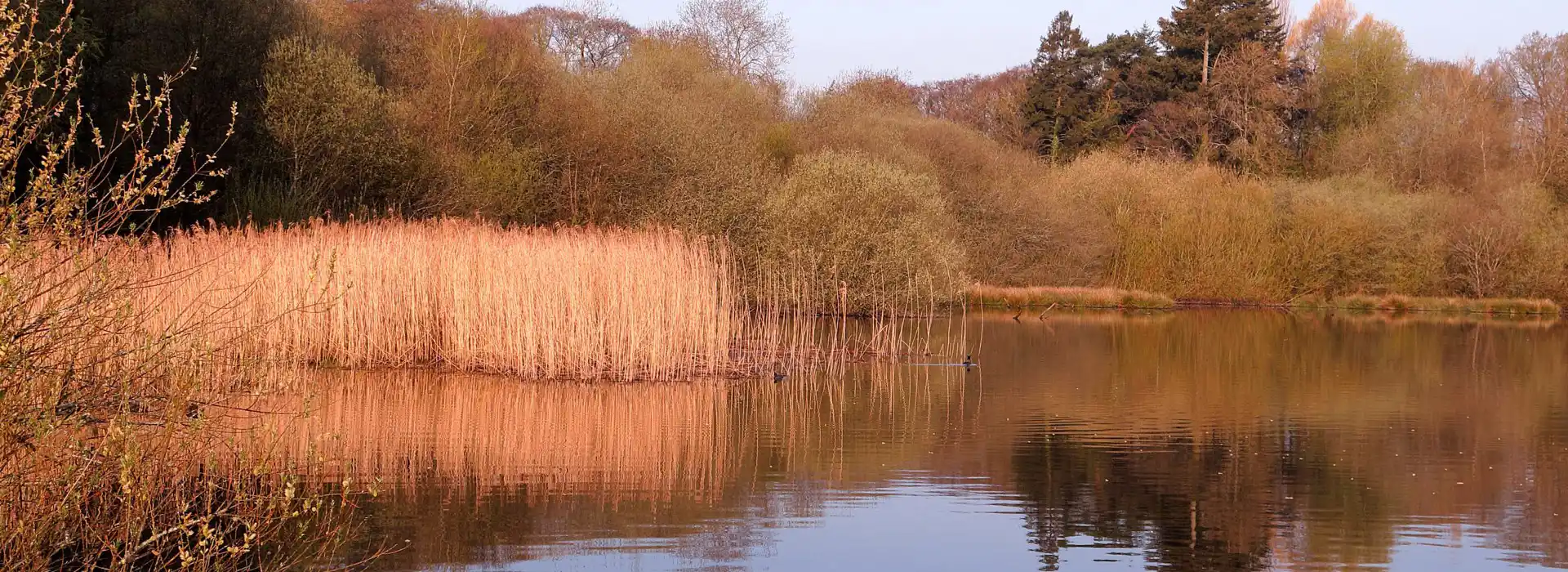 Chard campsites