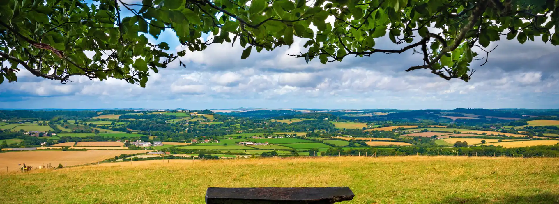 Cranborne