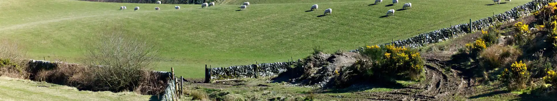 Gatehouse of Fleet campsites