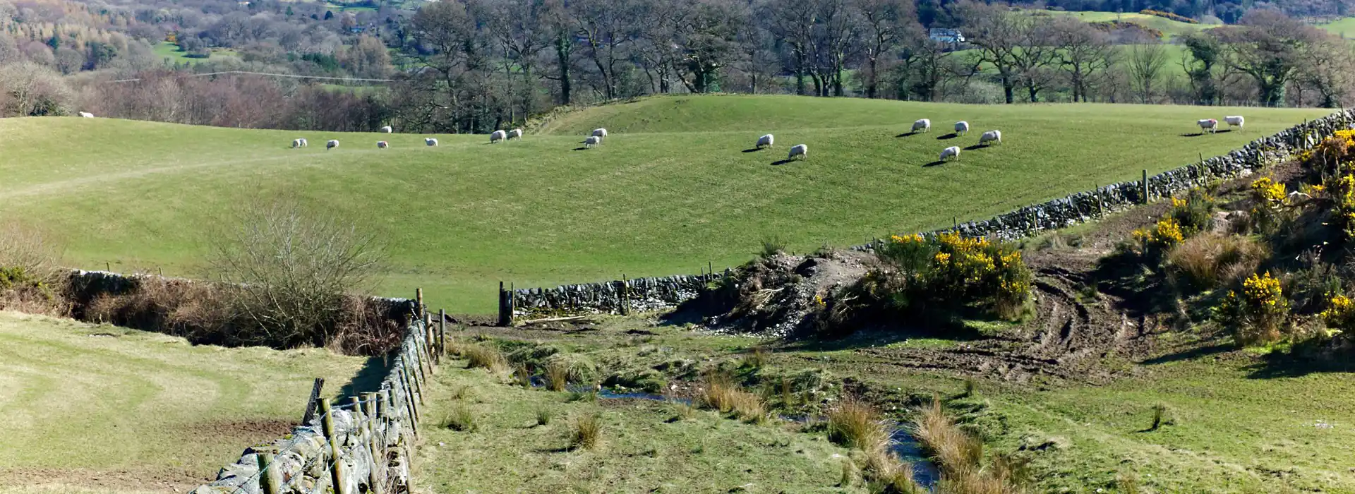 Gatehouse of Fleet campsites