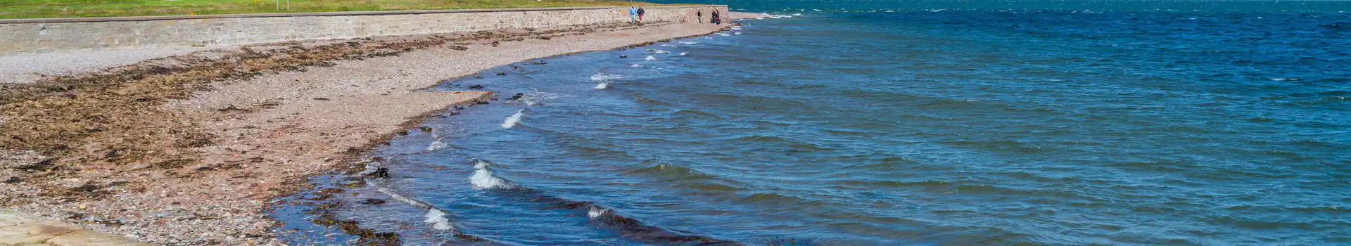 Fortrose campsites