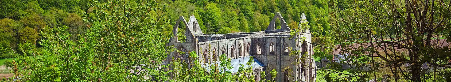 Tintern campsites