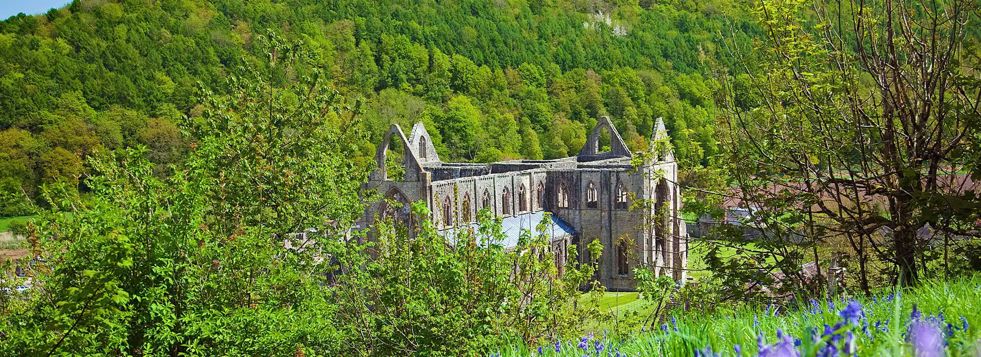 Tintern campsites