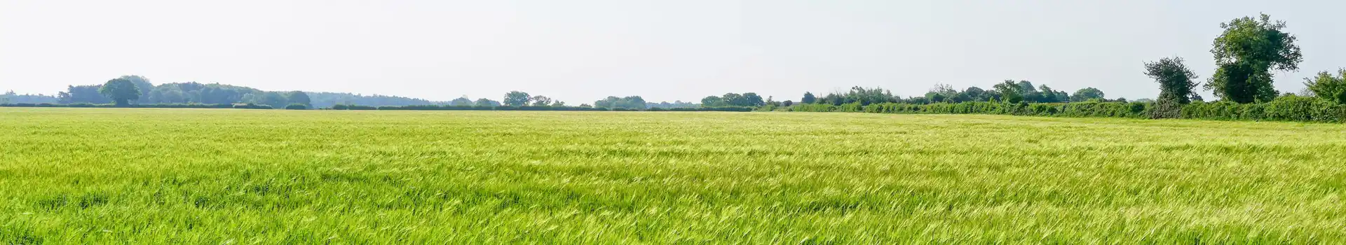 Fakenham campsites