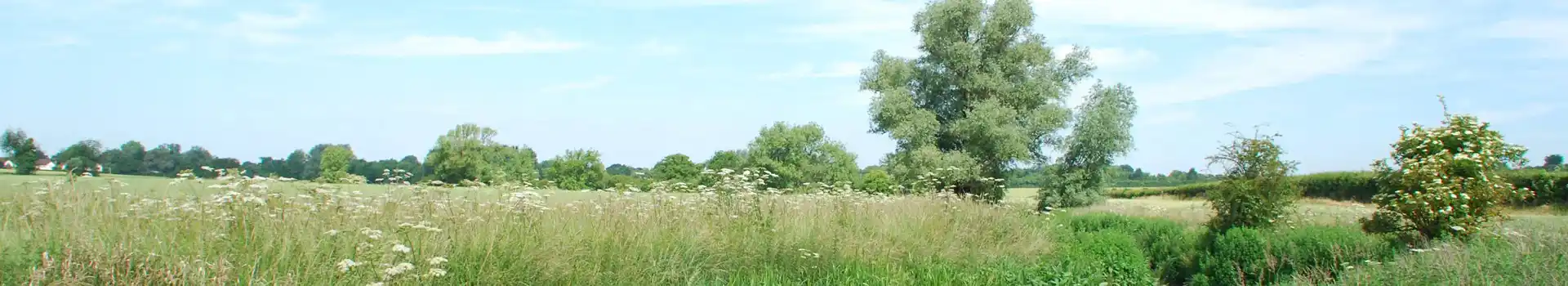 Biggleswade campsites