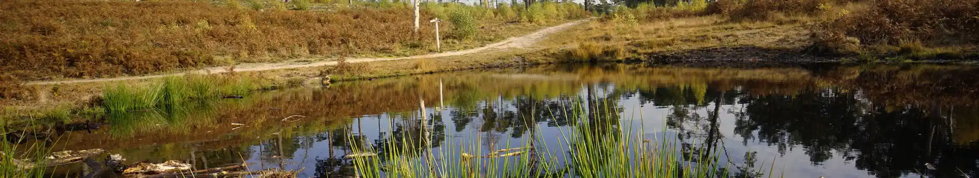 Pulborough campsites