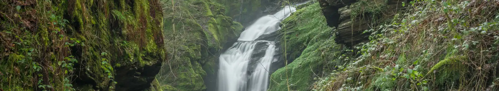 Ffestiniog campsites
