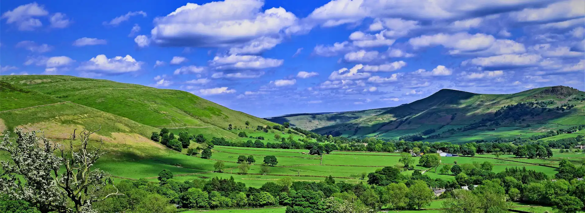 Campsites near Hope Valley