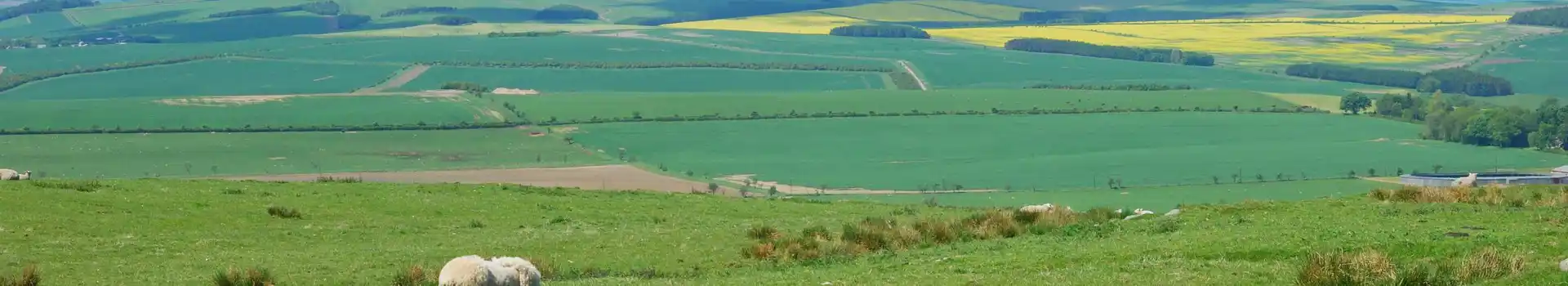Belford campsites