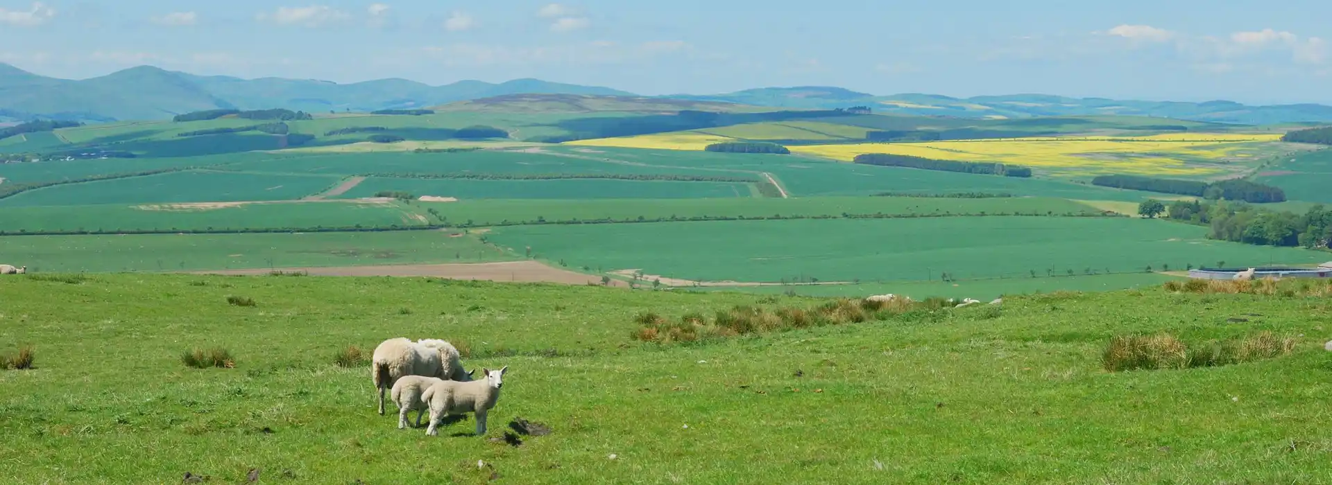 Belford campsites