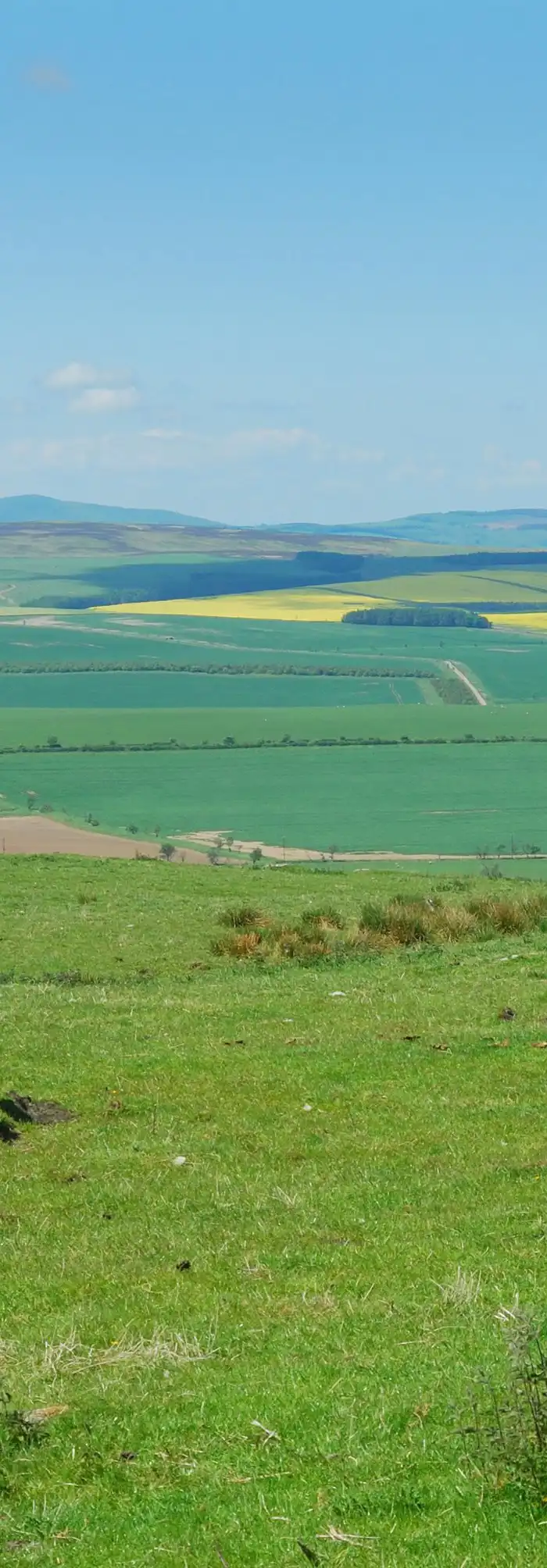 15+ Belford campsites Best camping in Belford, Northumberland