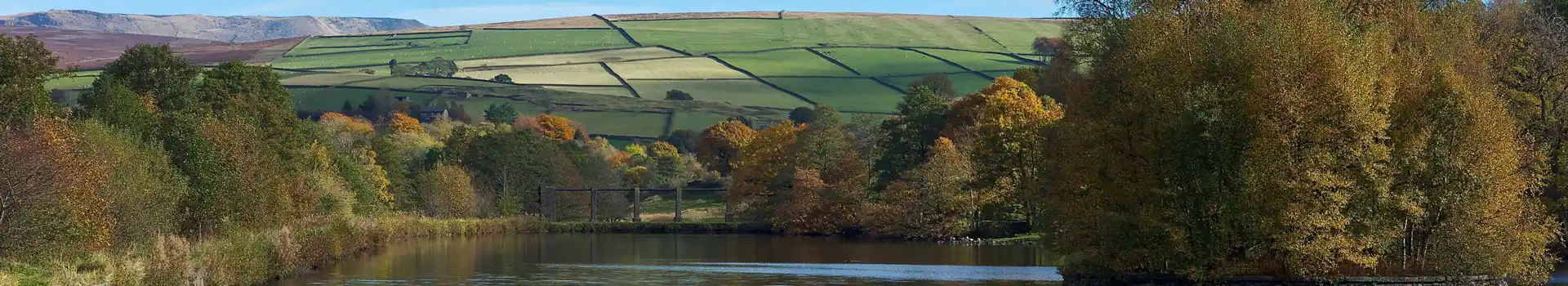 Hayfield campsites