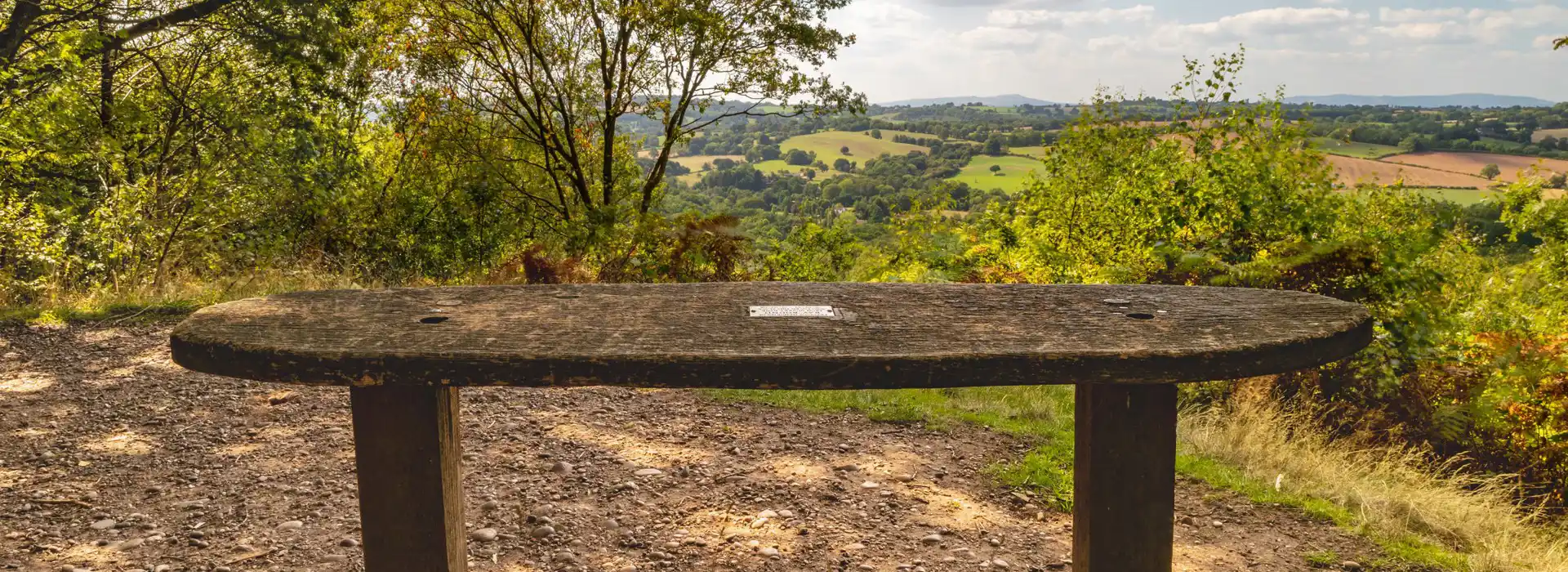 Hagley campsites