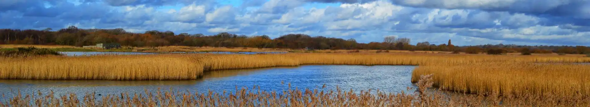 Hamble-le-Rice campsites