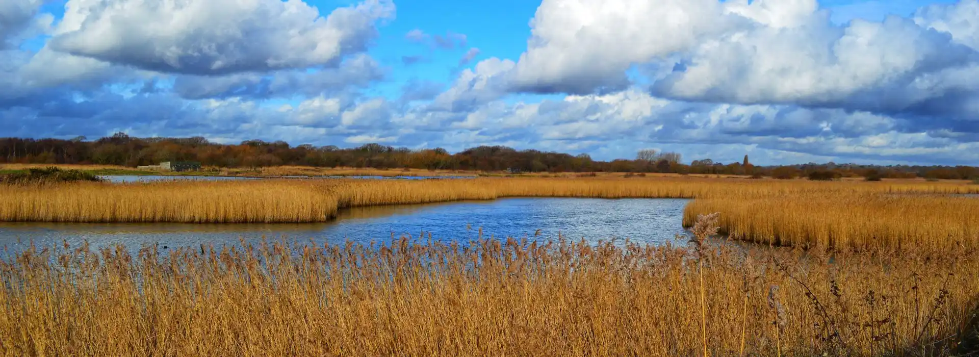 Hamble-le-Rice campsites