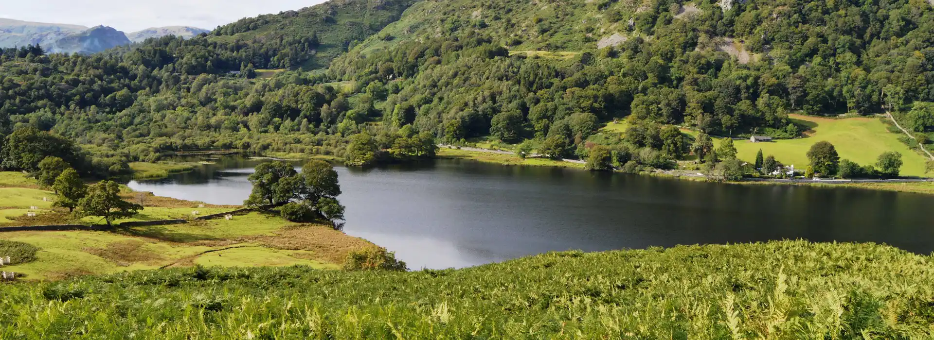 Rydal campsites