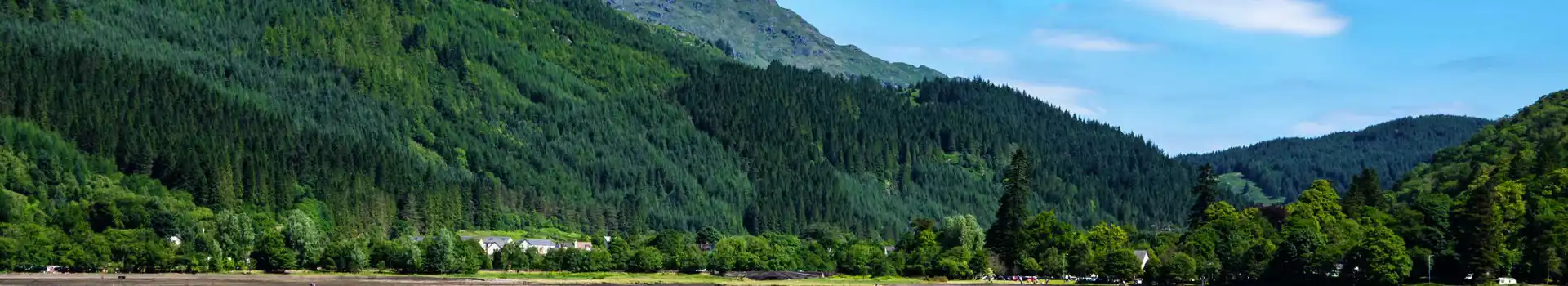 Arrochar campsites