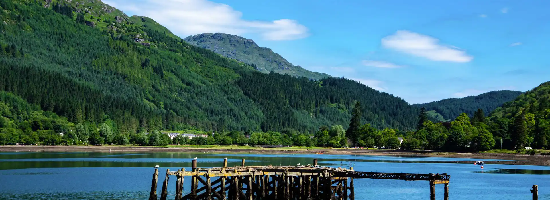 Arrochar campsites