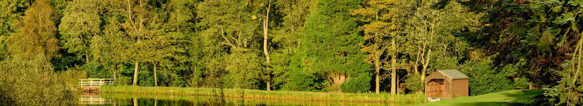 Auchterarder campsites