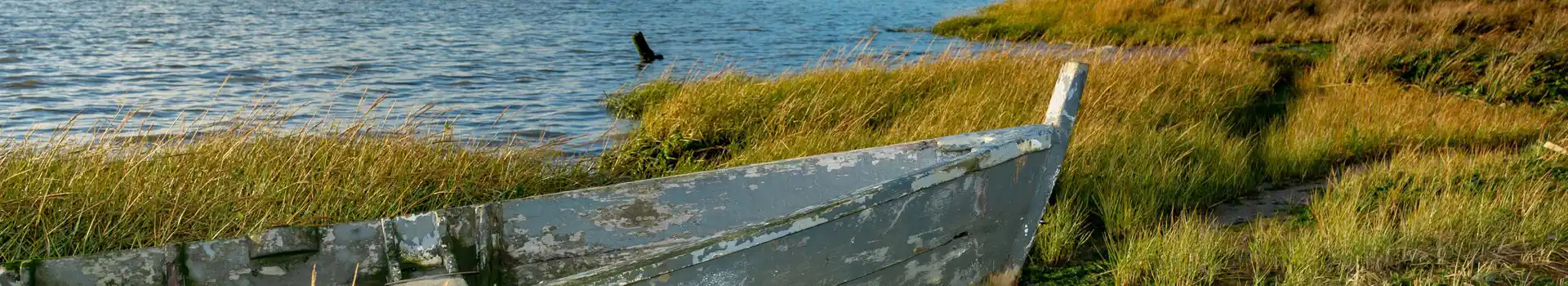 Lytchett Minster campsites