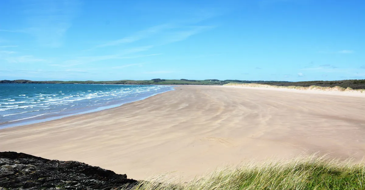 50+ campsites in Newborough (Niwbwrch)