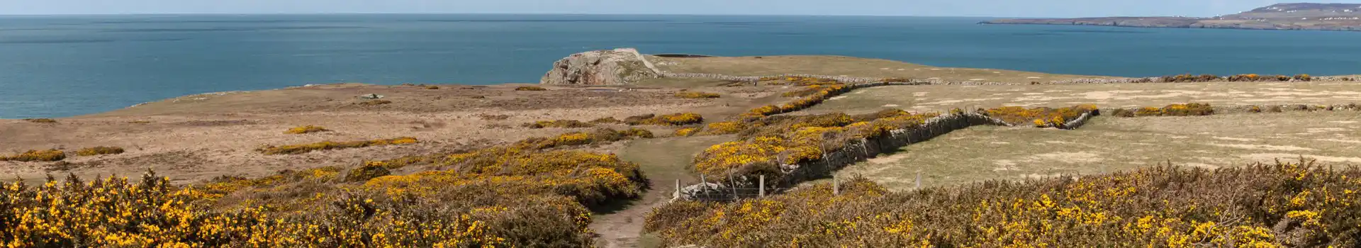 Rhoscolyn campsites