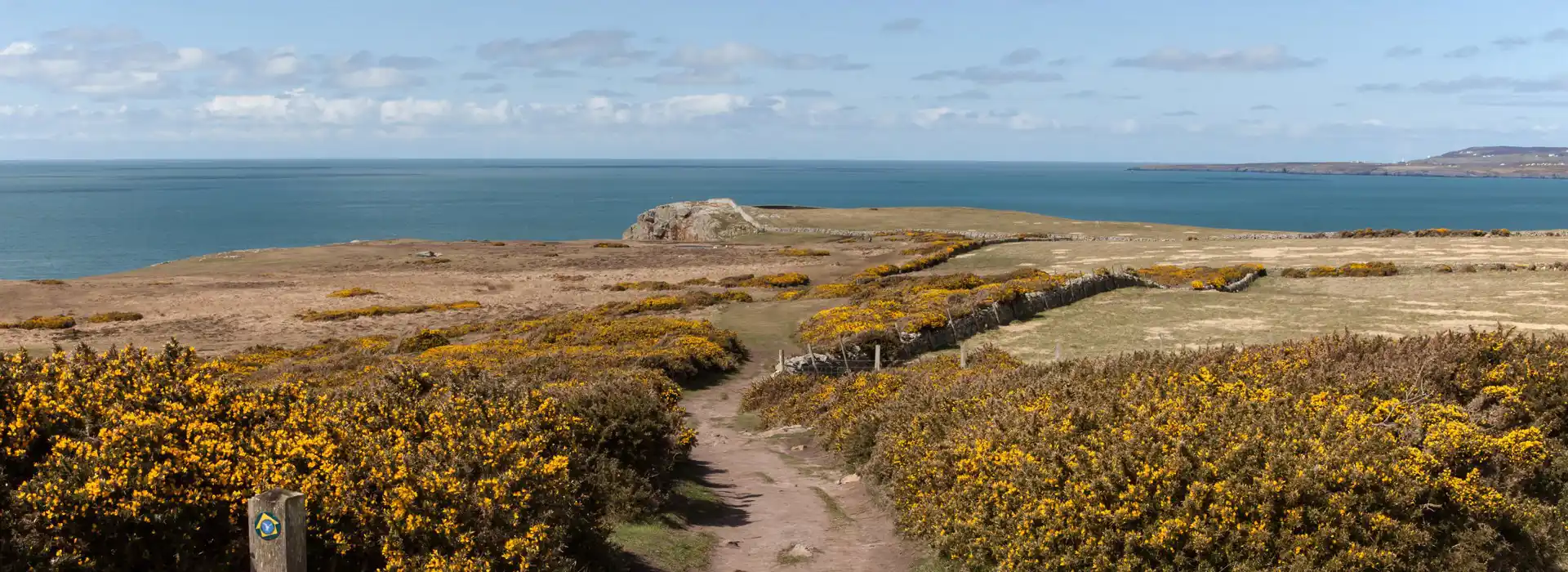 Rhoscolyn campsites