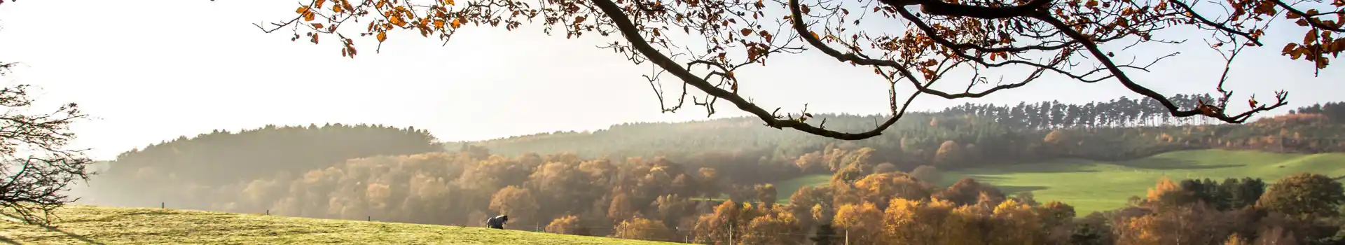 Rugeley campsites