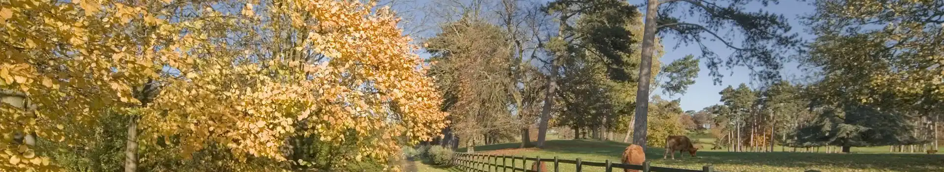 Droitwich Spa campsites