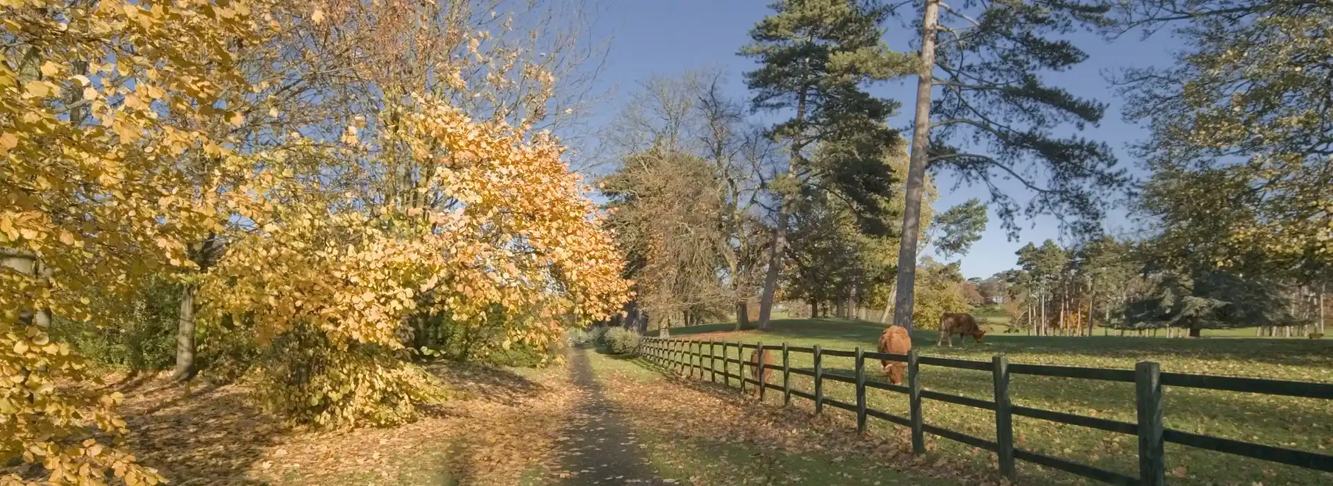Droitwich Spa campsites Droitwich Spa campsites