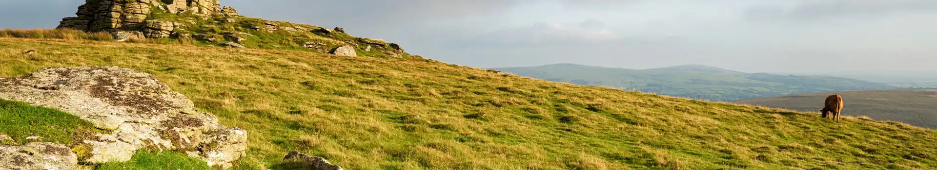 Lydford campsites