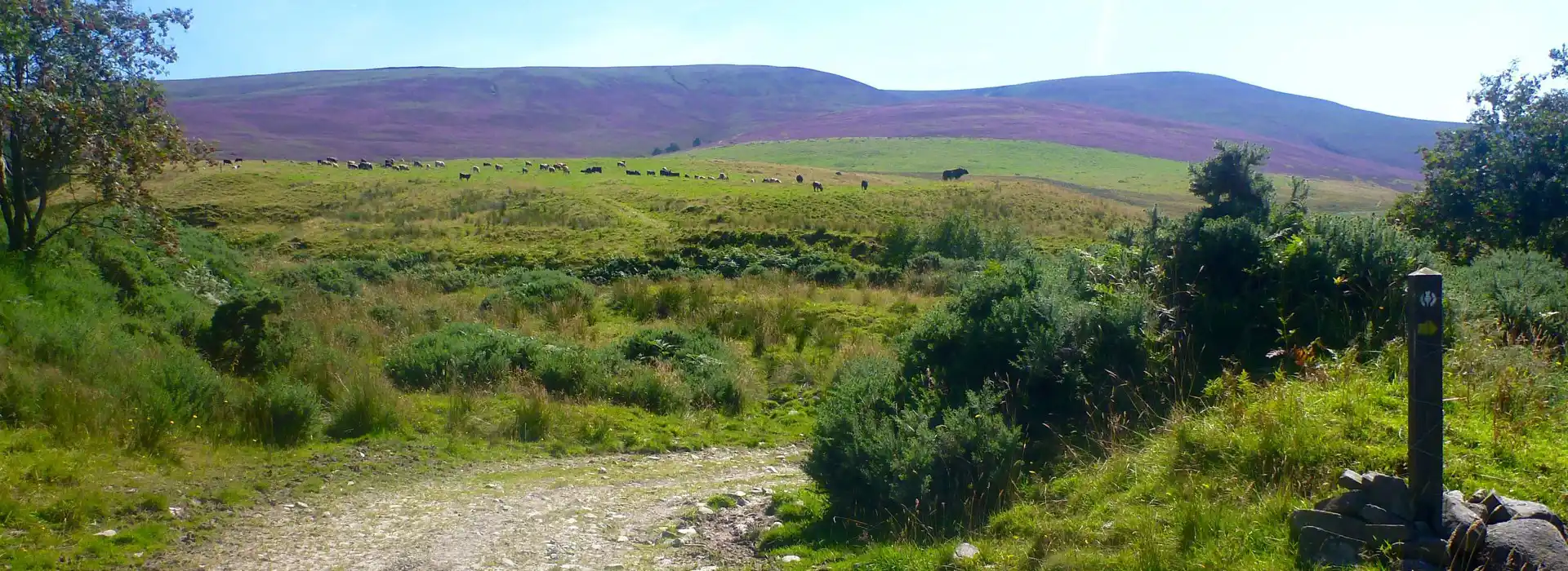 Grantown campsites