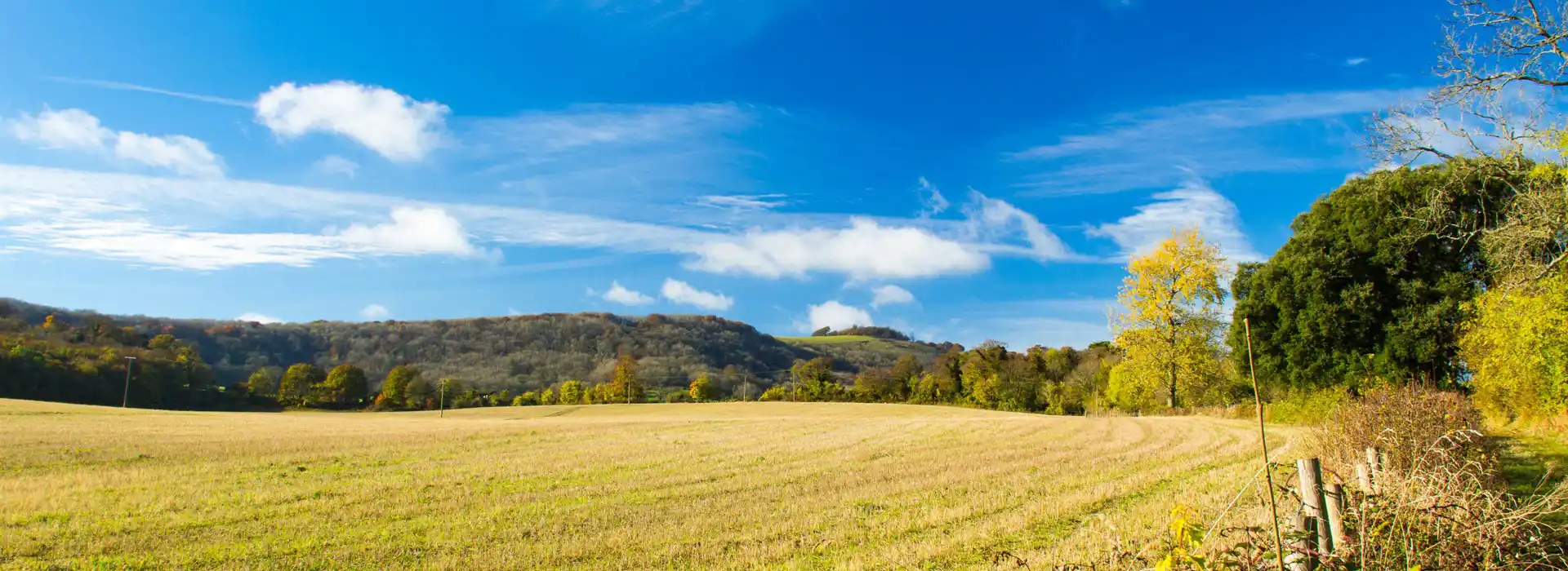 Steyning campsites