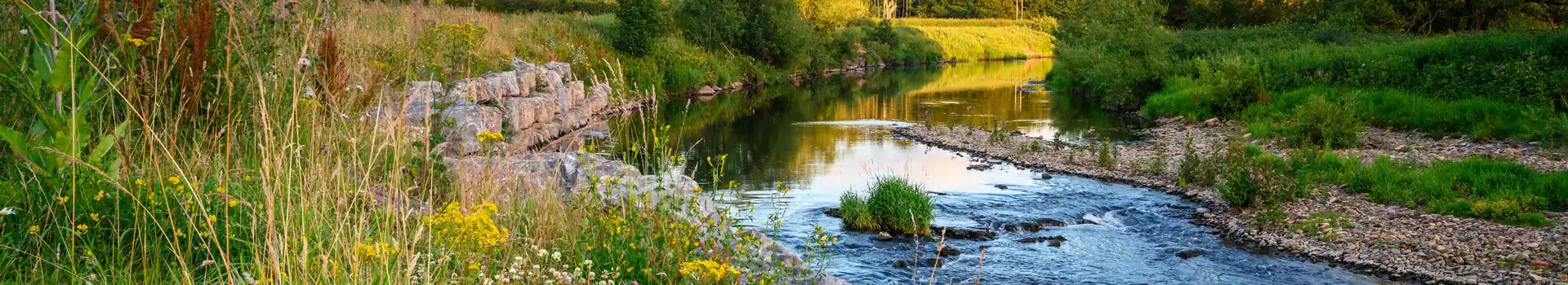 Bishop Auckland campsites